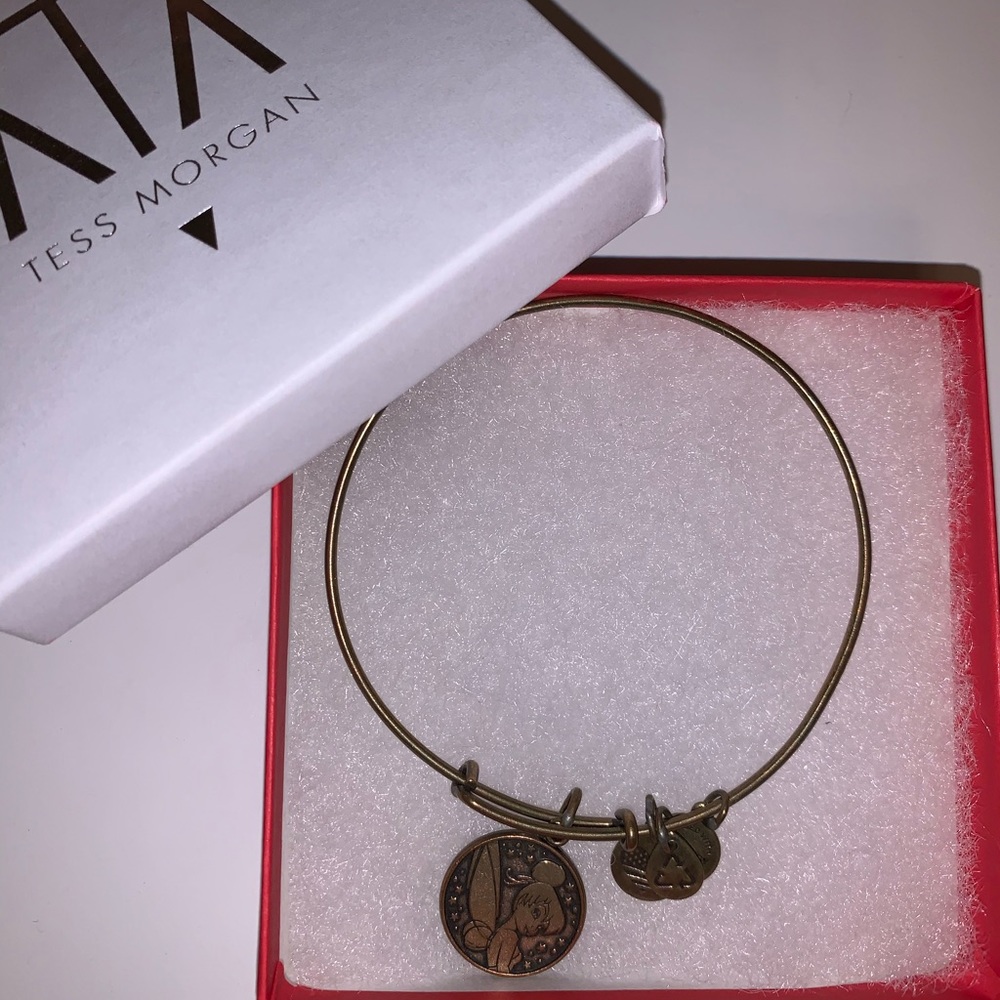Alex and Ani Disney bracelet